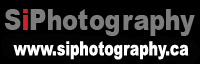 SiPhotography