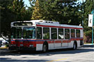 BC Transit