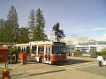 The bus at the ferry terminal